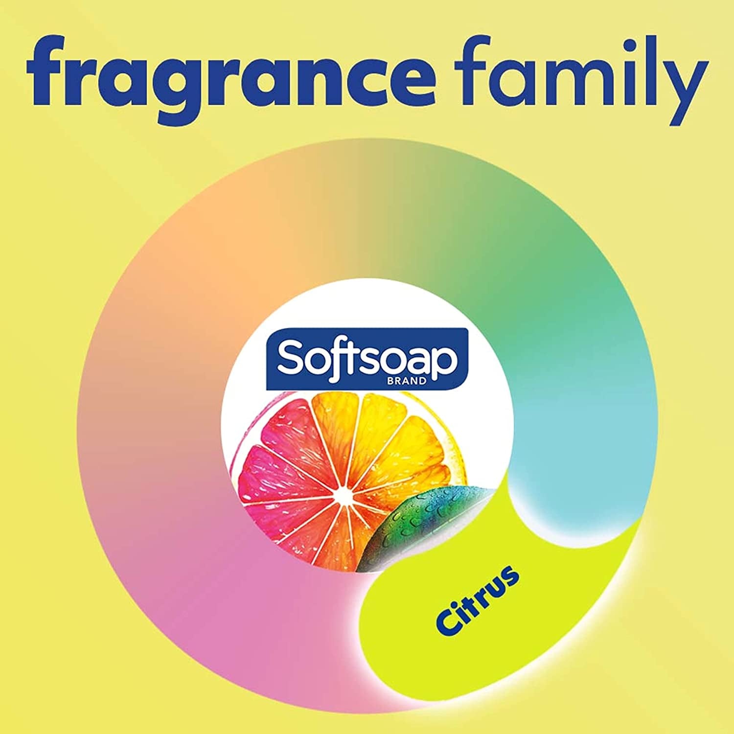 Antibacterial Liquid Hand Soap, Kitchen Fresh Hand Soap, 11.25 Fl Oz (Pack of 6)